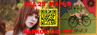 стаф Будённовск