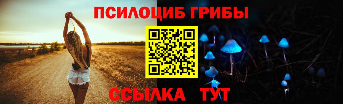 Тамбов  Галлюциногенные грибы MAGIC MUSHROOMS  наркота  Вход с VPN 